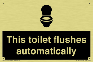 This toilet flushes automatically